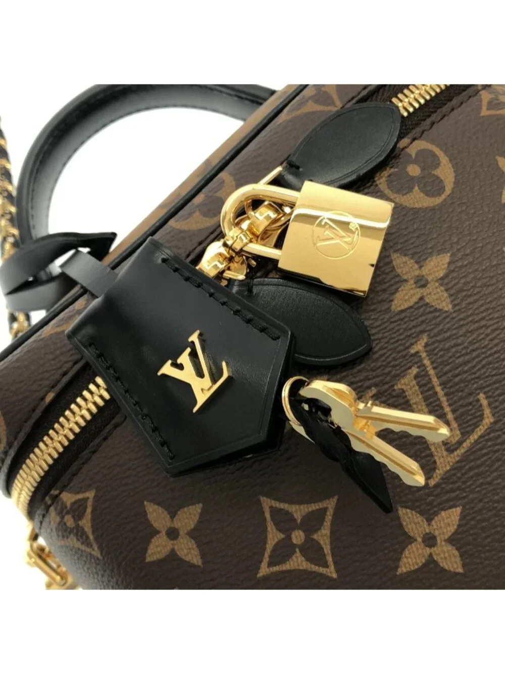 Louis Vuitton Monogram Vanity PM